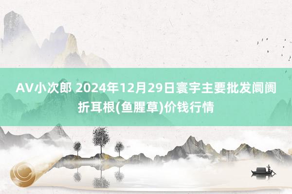 AV小次郎 2024年12月29日寰宇主要批发阛阓折耳根(鱼腥草)价钱行情