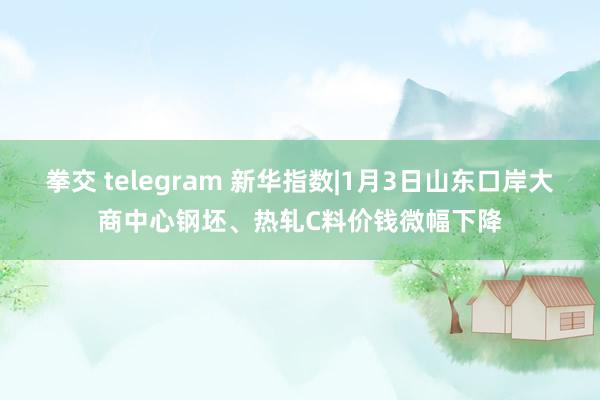 拳交 telegram 新华指数|1月3日山东口岸大商中心钢坯、热轧C料价钱微幅下降