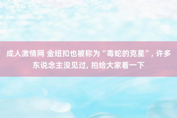 成人激情网 金纽扣也被称为“毒蛇的克星”， 许多东说念主没见过， 拍给大家看一下