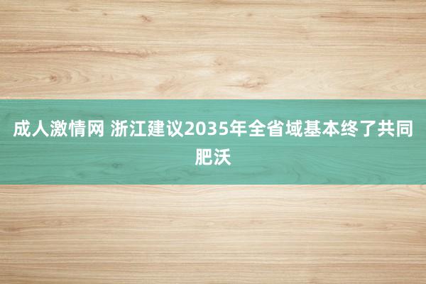 成人激情网 浙江建议2035年全省域基本终了共同肥沃