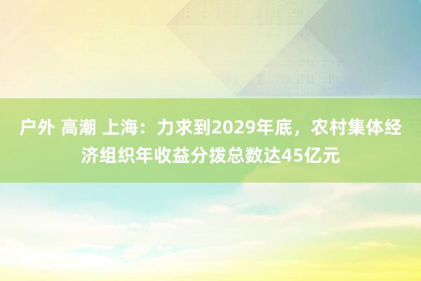 户外 高潮 上海：力求到2029年底，农村集体经济组织年收益分拨总数达45亿元