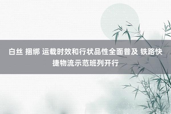 白丝 捆绑 运载时效和行状品性全面普及 铁路快捷物流示范班列开行