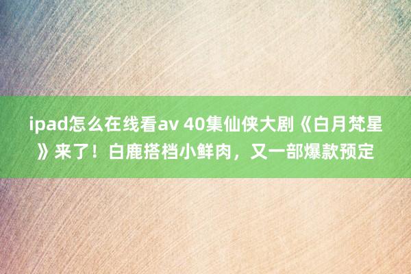 ipad怎么在线看av 40集仙侠大剧《白月梵星》来了！白鹿搭档小鲜肉，又一部爆款预定