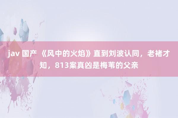 jav 国产 《风中的火焰》直到刘波认同，老褚才知，813案真凶是梅苇的父亲