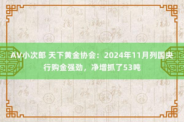 AV小次郎 天下黄金协会：2024年11月列国央行购金强劲，净增抓了53吨