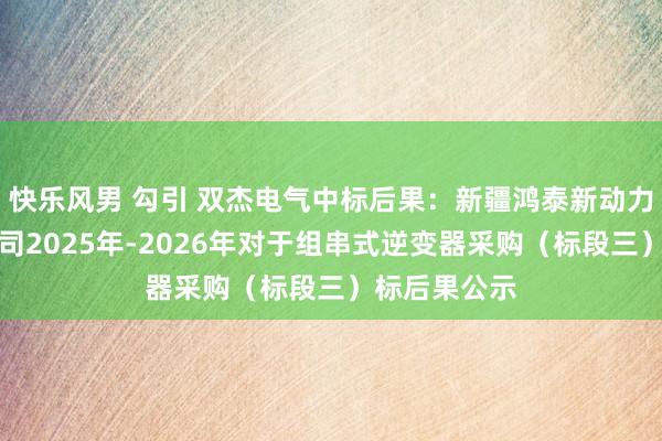 快乐风男 勾引 双杰电气中标后果：新疆鸿泰新动力投资有限公司2025年-2026年对于组串式逆变器采购（标段三）标后果公示