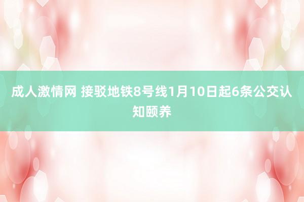 成人激情网 接驳地铁8号线1月10日起6条公交认知颐养