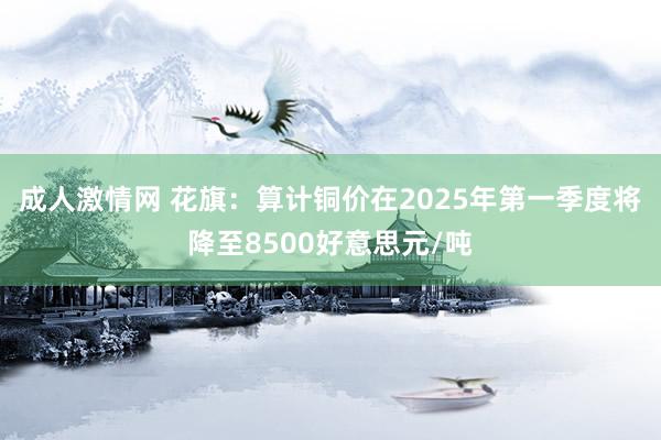 成人激情网 花旗：算计铜价在2025年第一季度将降至8500好意思元/吨