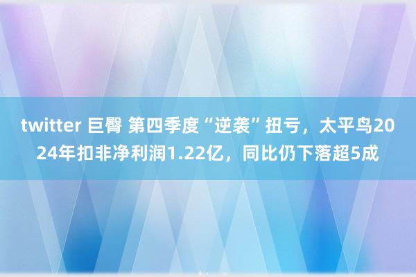 twitter 巨臀 第四季度“逆袭”扭亏，太平鸟2024年扣非净利润1.22亿，同比仍下落超5成