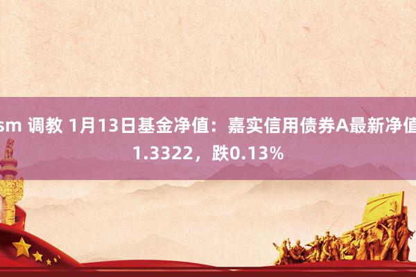 sm 调教 1月13日基金净值：嘉实信用债券A最新净值1.3322，跌0.13%