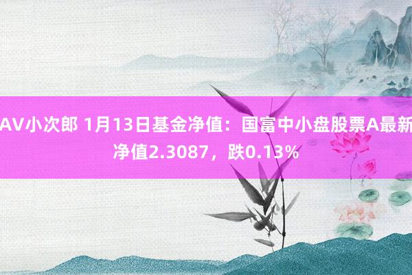 AV小次郎 1月13日基金净值：国富中小盘股票A最新净值2.3087，跌0.13%