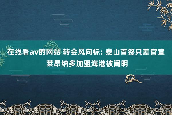 在线看av的网站 转会风向标: 泰山首签只差官宣 莱昂纳多加盟海港被阐明