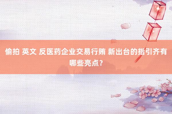 偷拍 英文 反医药企业交易行贿 新出台的指引齐有哪些亮点？