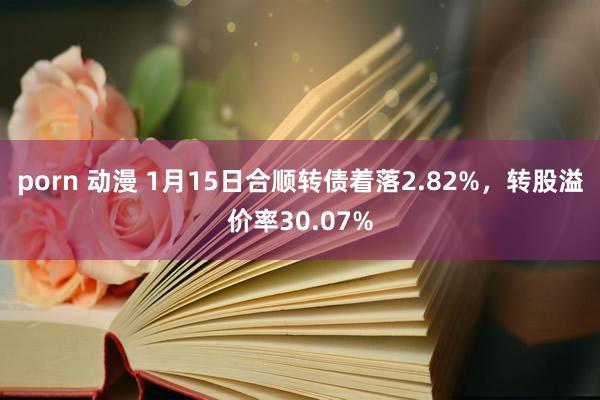 porn 动漫 1月15日合顺转债着落2.82%，转股溢价率30.07%