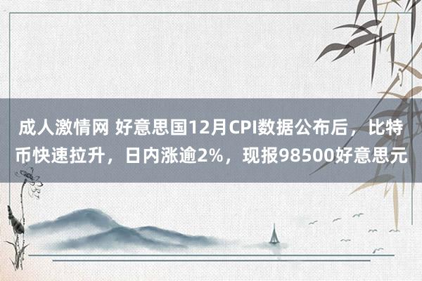 成人激情网 好意思国12月CPI数据公布后，比特币快速拉升，日内涨逾2%，现报98500好意思元