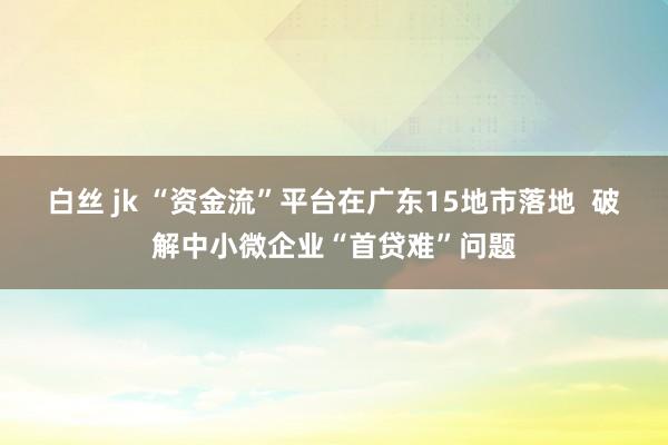 白丝 jk “资金流”平台在广东15地市落地  破解中小微企业“首贷难”问题