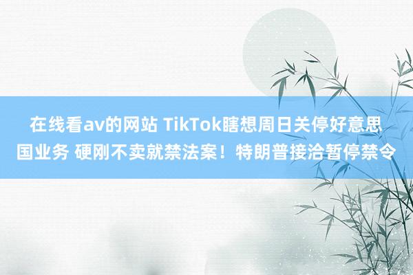 在线看av的网站 TikTok瞎想周日关停好意思国业务 硬刚不卖就禁法案！特朗普接洽暂停禁令