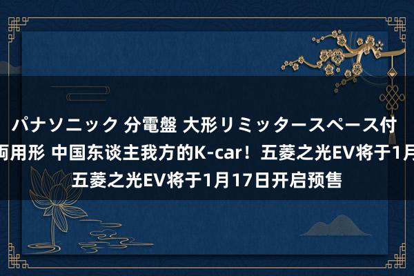 パナソニック 分電盤 大形リミッタースペース付 露出・半埋込両用形 中国东谈主我方的K-car！五菱之光EV将于1月17日开启预售