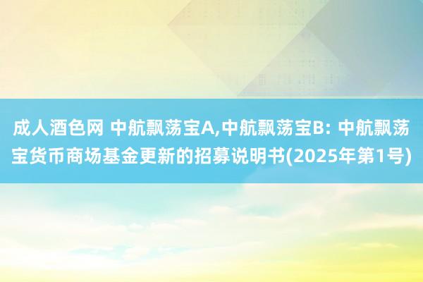 成人酒色网 中航飘荡宝A，中航飘荡宝B: 中航飘荡宝货币商场基金更新的招募说明书(2025年第1号)